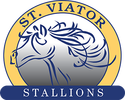 St Viator Catholic School